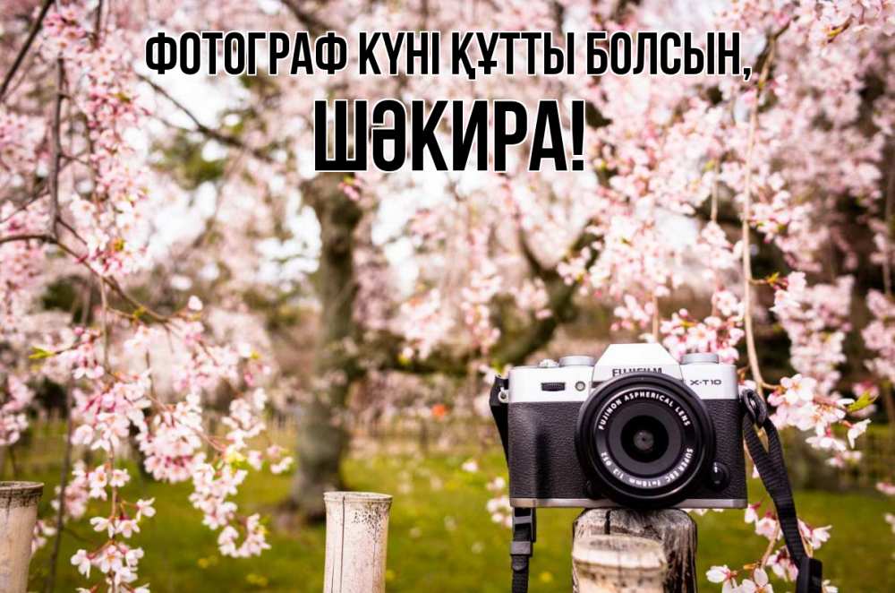 Күн сайын ашық хат с именем, ШӘКИРА Фотограф күні құтты болсын сирень с днем фотографа, фотоаппарат Онлайн тегін жүктеп алу тілектері бар керемет карта 