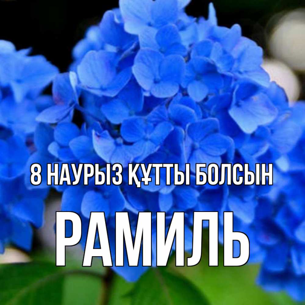 Күн сайын ашық хат с именем, Рамиль 8 наурыз құтты болсын синие цветы Онлайн тегін жүктеп алу тілектері бар керемет карта 
