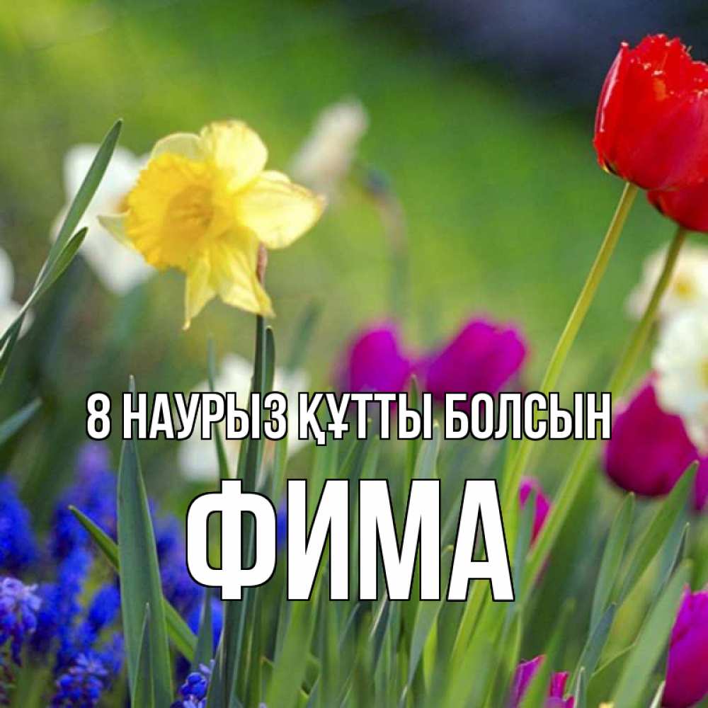 Күн сайын ашық хат с именем, Фима 8 наурыз құтты болсын международный женский день 3 Онлайн тегін жүктеп алу тілектері бар керемет карта 