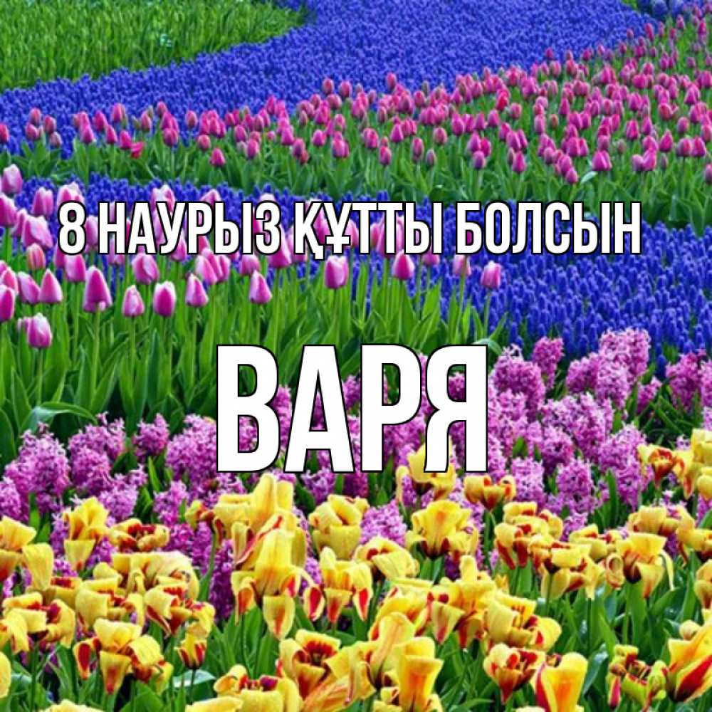 Күн сайын ашық хат с именем, Варя 8 наурыз құтты болсын цветы Онлайн тегін жүктеп алу тілектері бар керемет карта 