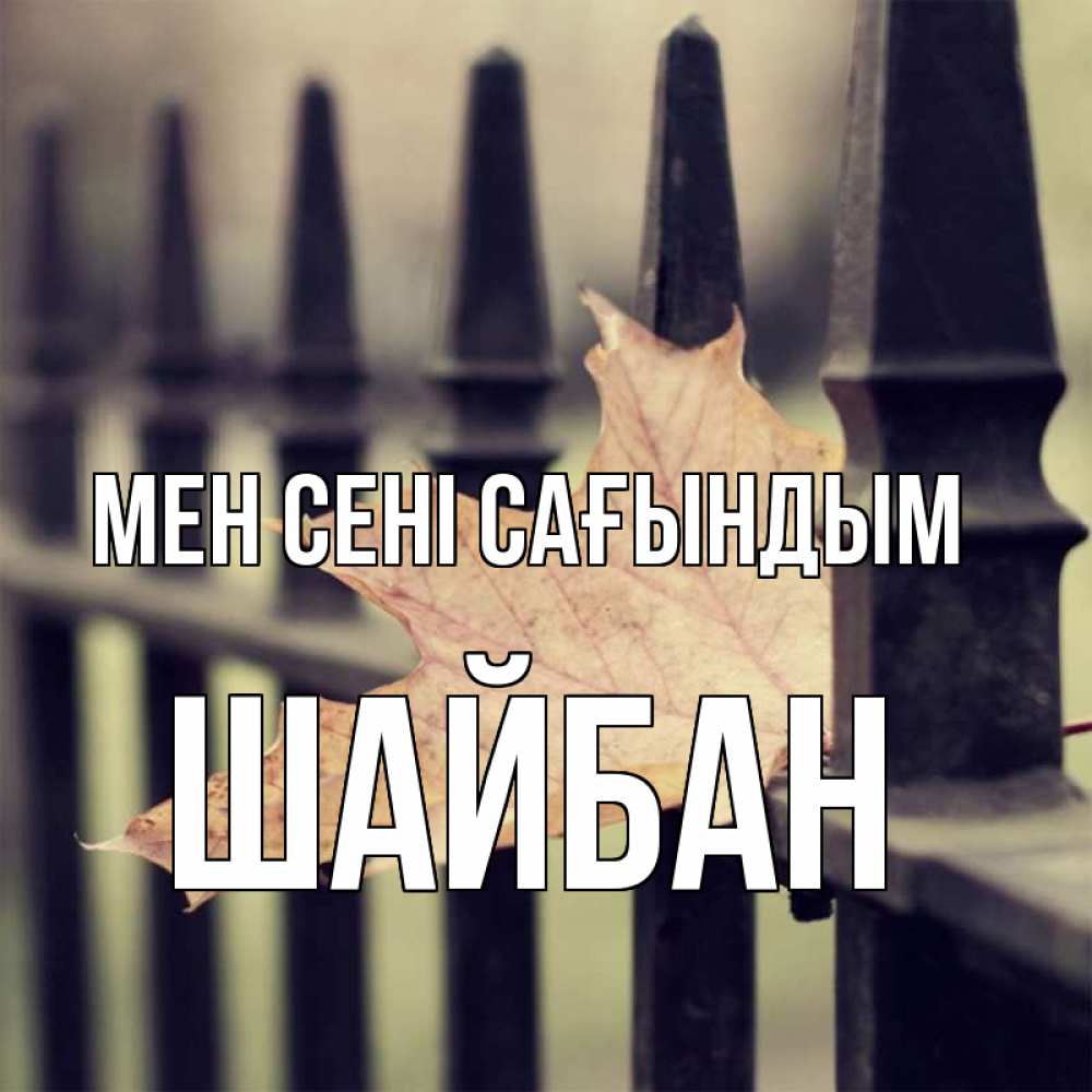 Күн сайын ашық хат с именем, ШАЙБАН Мен сені сағындым очень скучно Онлайн тегін жүктеп алу тілектері бар керемет карта 