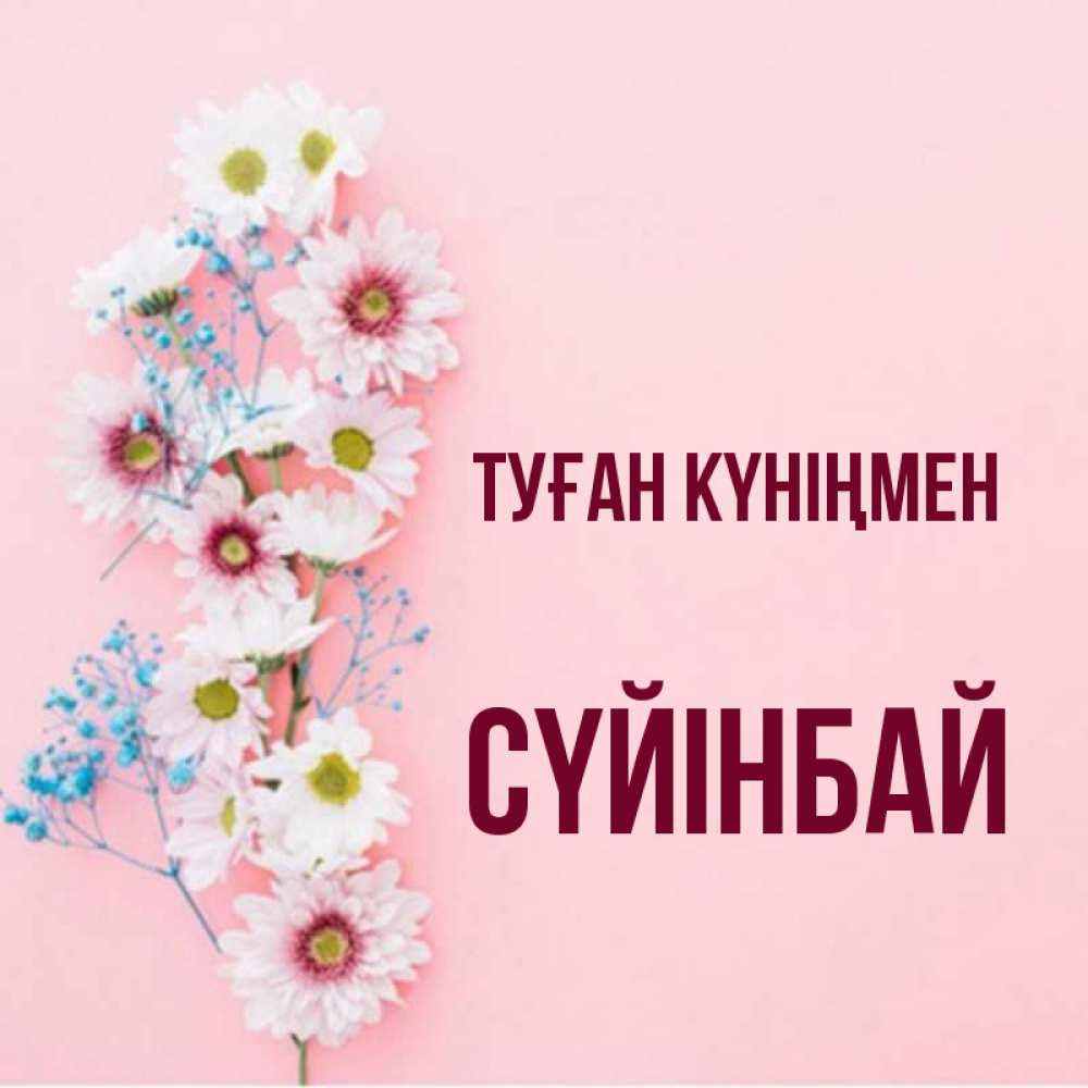 Күн сайын ашық хат с именем, СҮЙІНБАЙ Туған күніңмен Родная моя с днем рождения тебя картинка с цветами белыми и голубыми Онлайн тегін жүктеп алу тілектері бар керемет карта 