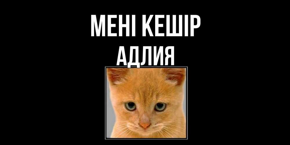 Күн сайын ашық хат с именем, АДЛИЯ Мені кешір рыжий грустный кот просит прощения Онлайн тегін жүктеп алу тілектері бар керемет карта 