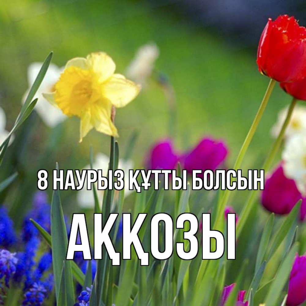 Күн сайын ашық хат с именем, Аққозы 8 наурыз құтты болсын международный женский день 3 Онлайн тегін жүктеп алу тілектері бар керемет карта 
