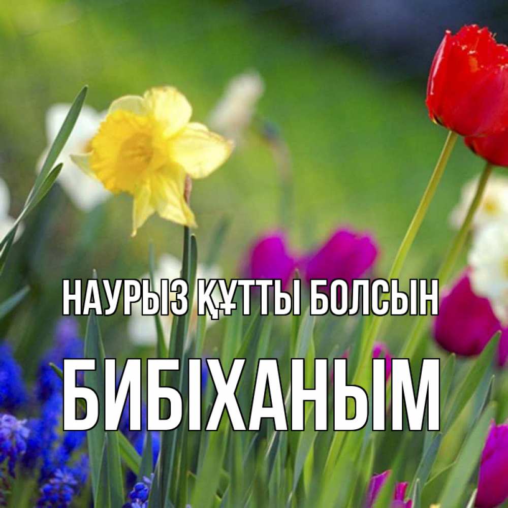 Күн сайын ашық хат с именем, БИБІХАНЫМ Наурыз құтты болсын наурыз  3 открытки Онлайн тегін жүктеп алу тілектері бар керемет карта 