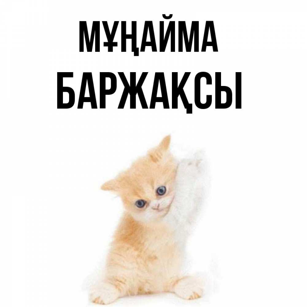 Күн сайын ашық хат с именем, Баржақсы Мұңайма просящий кот Онлайн тегін жүктеп алу тілектері бар керемет карта 