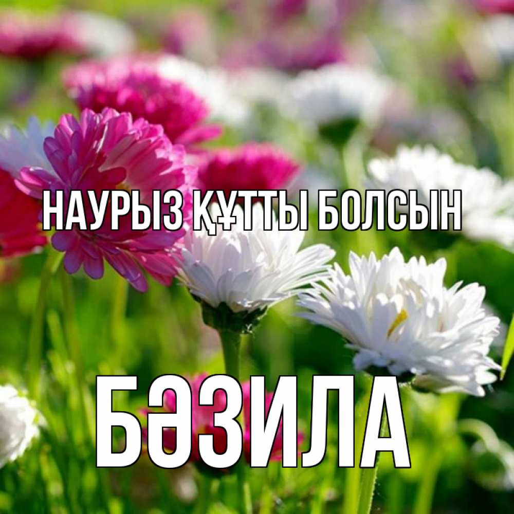 Күн сайын ашық хат с именем, БӘЗИЛА Наурыз құтты болсын наурыз Онлайн тегін жүктеп алу тілектері бар керемет карта 