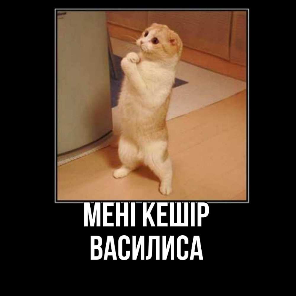 Күн сайын ашық хат с именем, Василиса Мені кешір открытка с милым несчастным котиком просящим прощения Онлайн тегін жүктеп алу тілектері бар керемет карта 