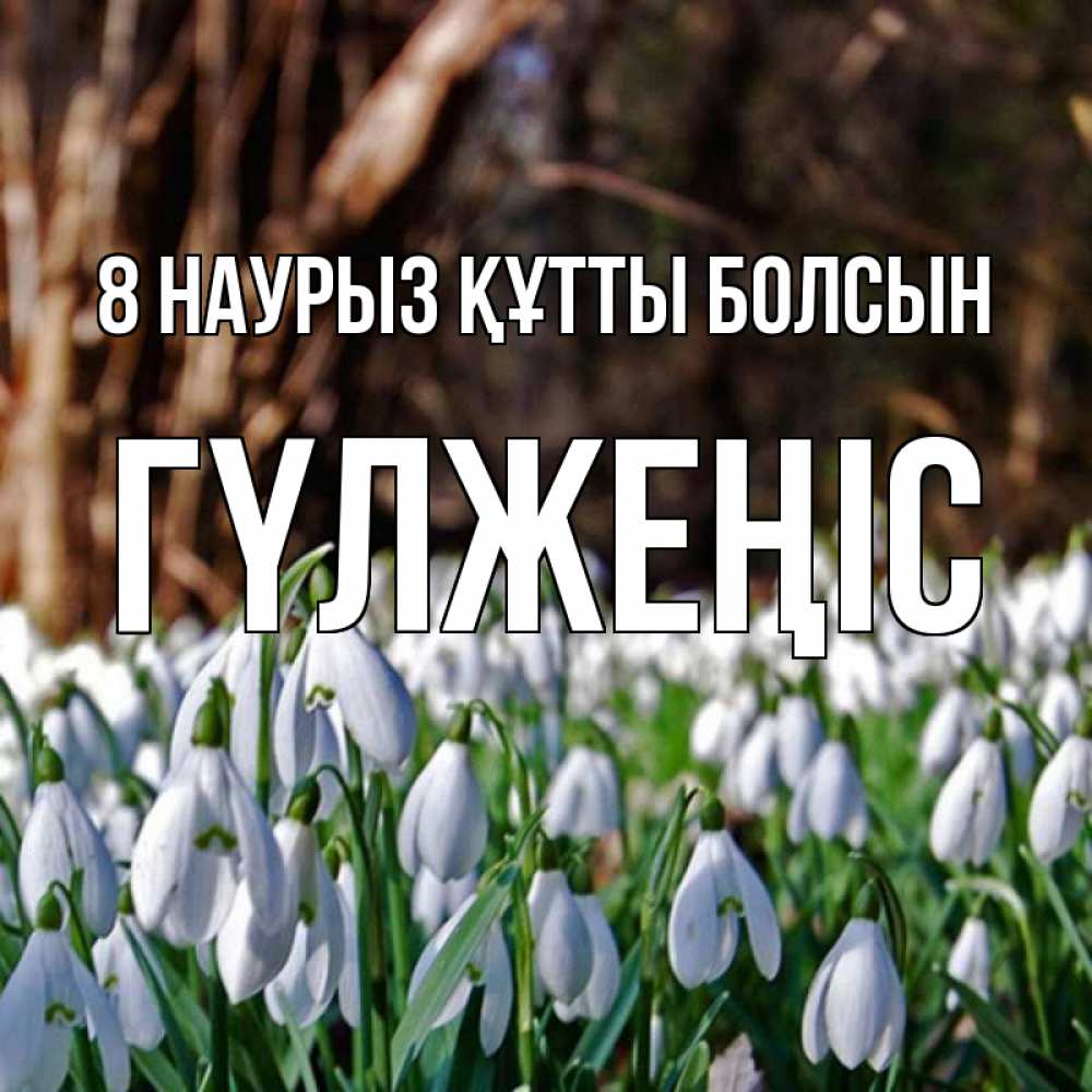 Күн сайын ашық хат с именем, ГҮЛЖЕҢІС 8 наурыз құтты болсын с подснежниками 1 Онлайн тегін жүктеп алу тілектері бар керемет карта 