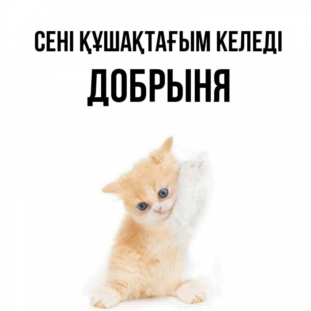 Күн сайын ашық хат с именем, Добрыня сені құшақтағым келеді я хочу очень скорее обнимаешек Онлайн тегін жүктеп алу тілектері бар керемет карта 