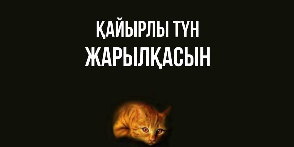 Күн сайын ашық хат с именем, Жарылқасын Қайырлы түн кот Онлайн тегін жүктеп алу тілектері бар керемет карта 