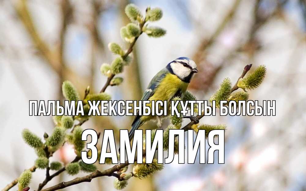 Күн сайын ашық хат с именем, ЗАМИЛИЯ Пальма жексенбісі құтты болсын верба Онлайн тегін жүктеп алу тілектері бар керемет карта 