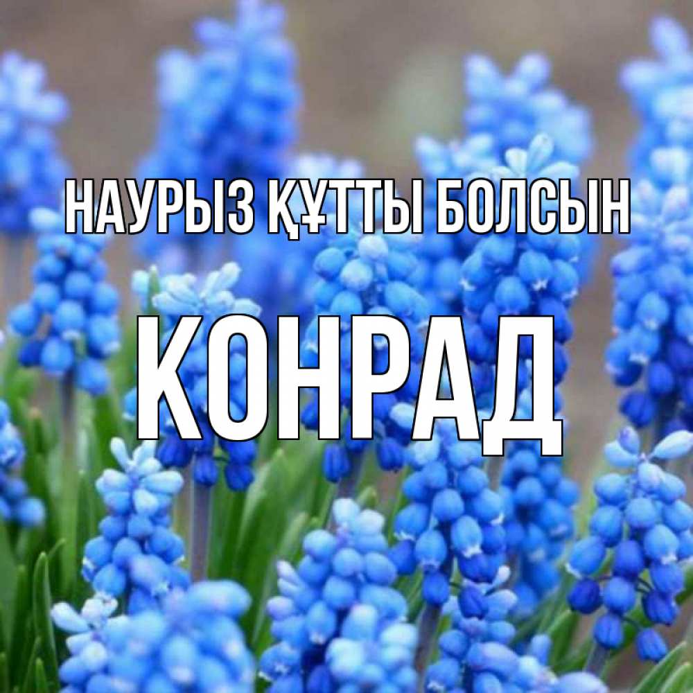 Күн сайын ашық хат с именем, Конрад Наурыз құтты болсын Поздравительная открытка для женщин с цветами на праздничную дату Онлайн тегін жүктеп алу тілектері бар керемет карта 