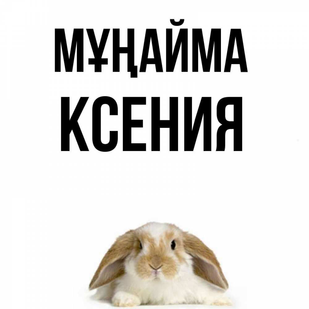 Күн сайын ашық хат с именем, Ксения Мұңайма коричнево белый заяц с большими ушками Онлайн тегін жүктеп алу тілектері бар керемет карта 
