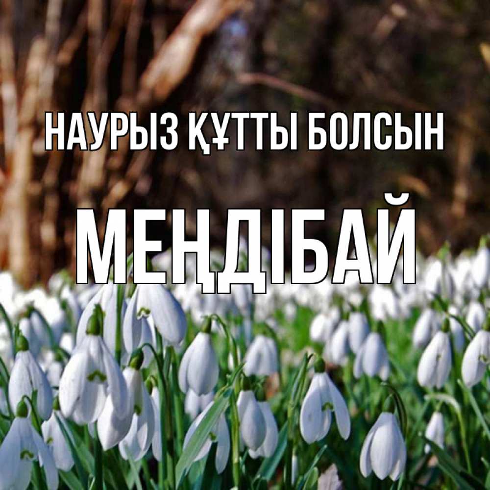 Күн сайын ашық хат с именем, МЕҢДІБАЙ Наурыз құтты болсын с подснежниками 1 Онлайн тегін жүктеп алу тілектері бар керемет карта 