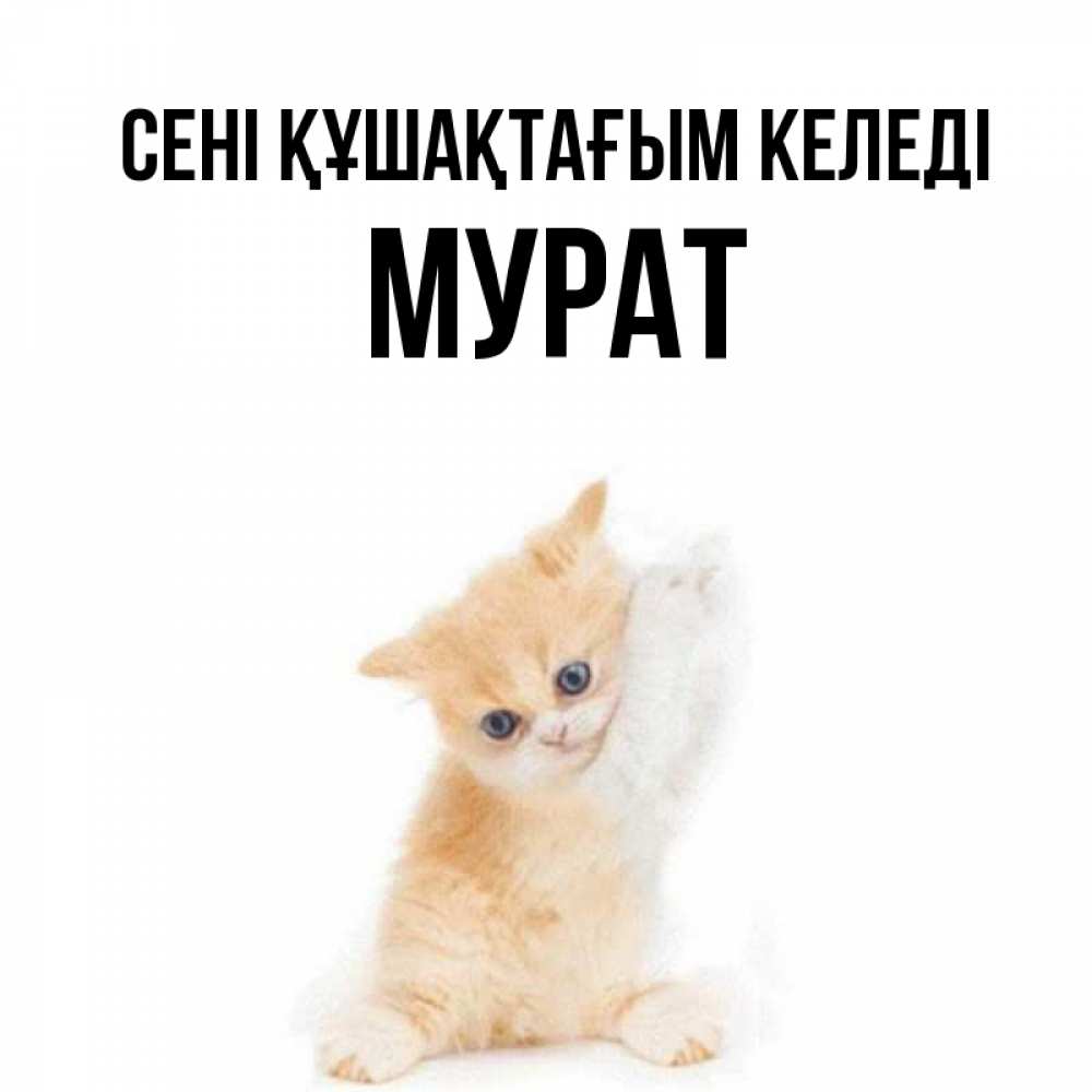Күн сайын ашық хат с именем, Мурат сені құшақтағым келеді я хочу очень скорее обнимаешек Онлайн тегін жүктеп алу тілектері бар керемет карта 