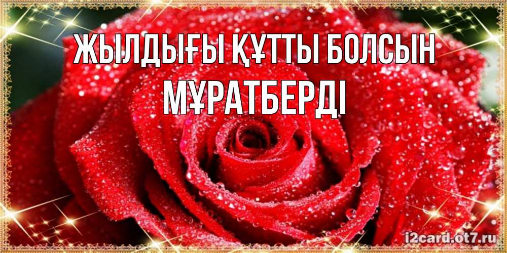 Күн сайын ашық хат с именем, Мұратберді Жылдығы құтты болсын роса и роза. открытка с красивой розой Онлайн тегін жүктеп алу тілектері бар керемет карта 