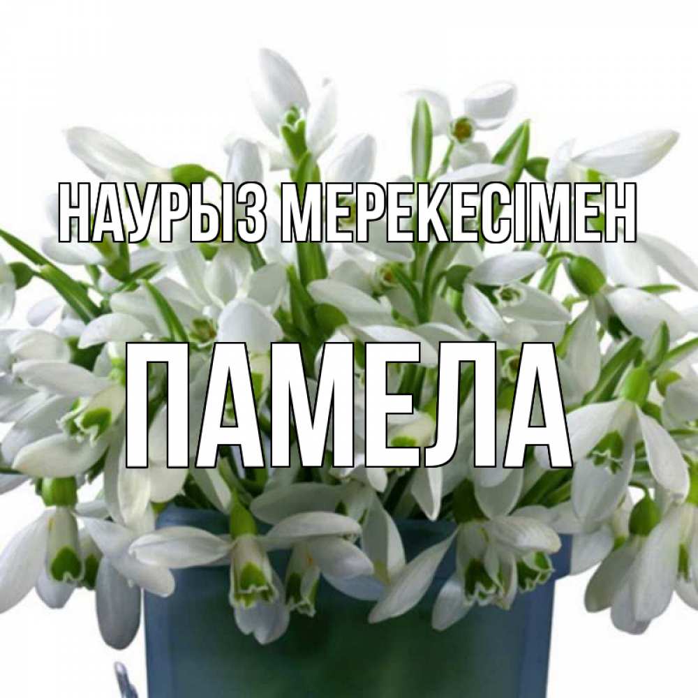 Күн сайын ашық хат с именем, Памела Наурыз мерекесімен цветы к наурызу новый год в Казахстане Онлайн тегін жүктеп алу тілектері бар керемет карта 