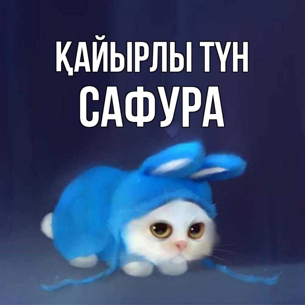 Күн сайын ашық хат с именем, САФУРА Қайырлы түн кот в голубом костюме кролика с ушками Онлайн тегін жүктеп алу тілектері бар керемет карта 