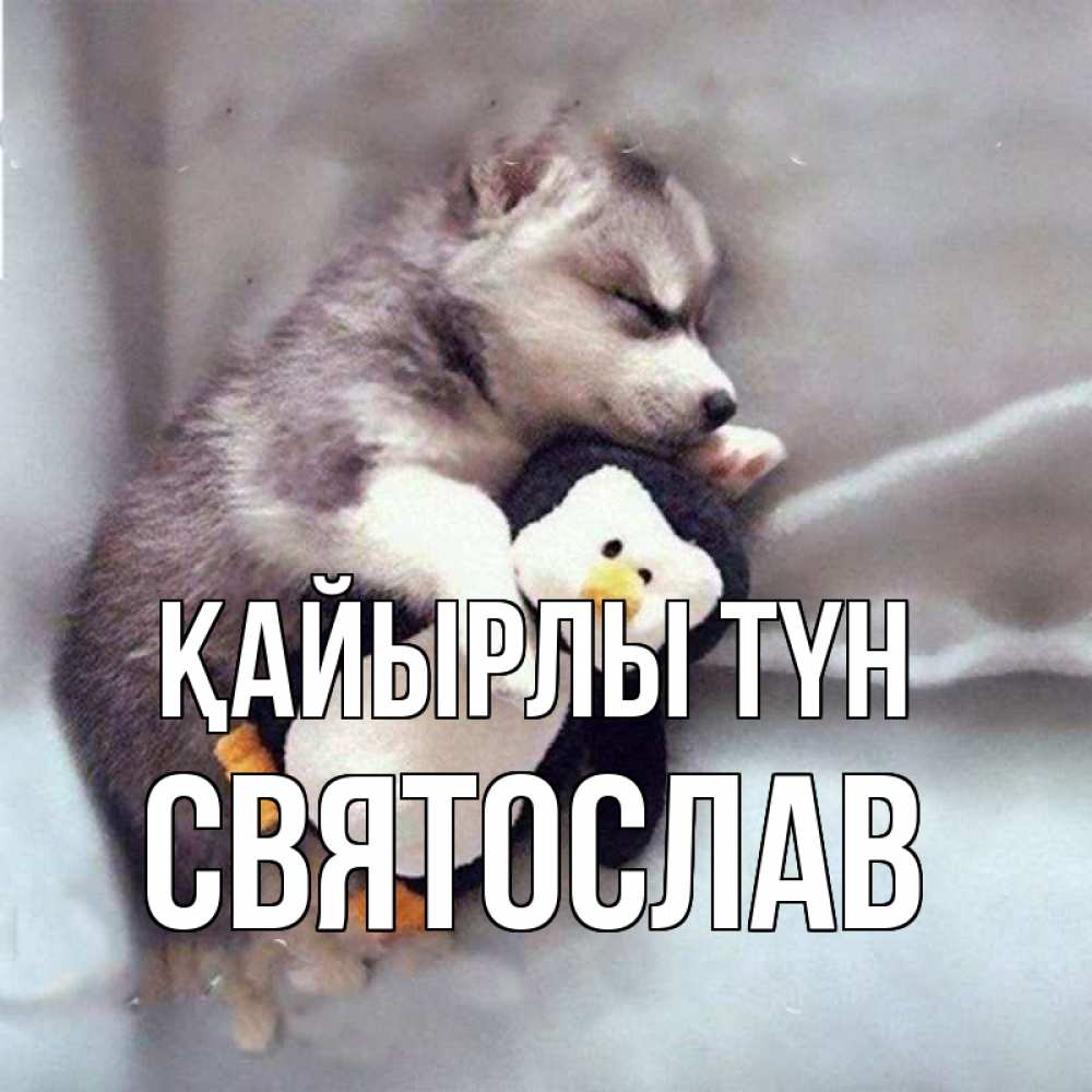 Күн сайын ашық хат с именем, Святослав Қайырлы түн обнимашки щенка и пингвина Онлайн тегін жүктеп алу тілектері бар керемет карта 
