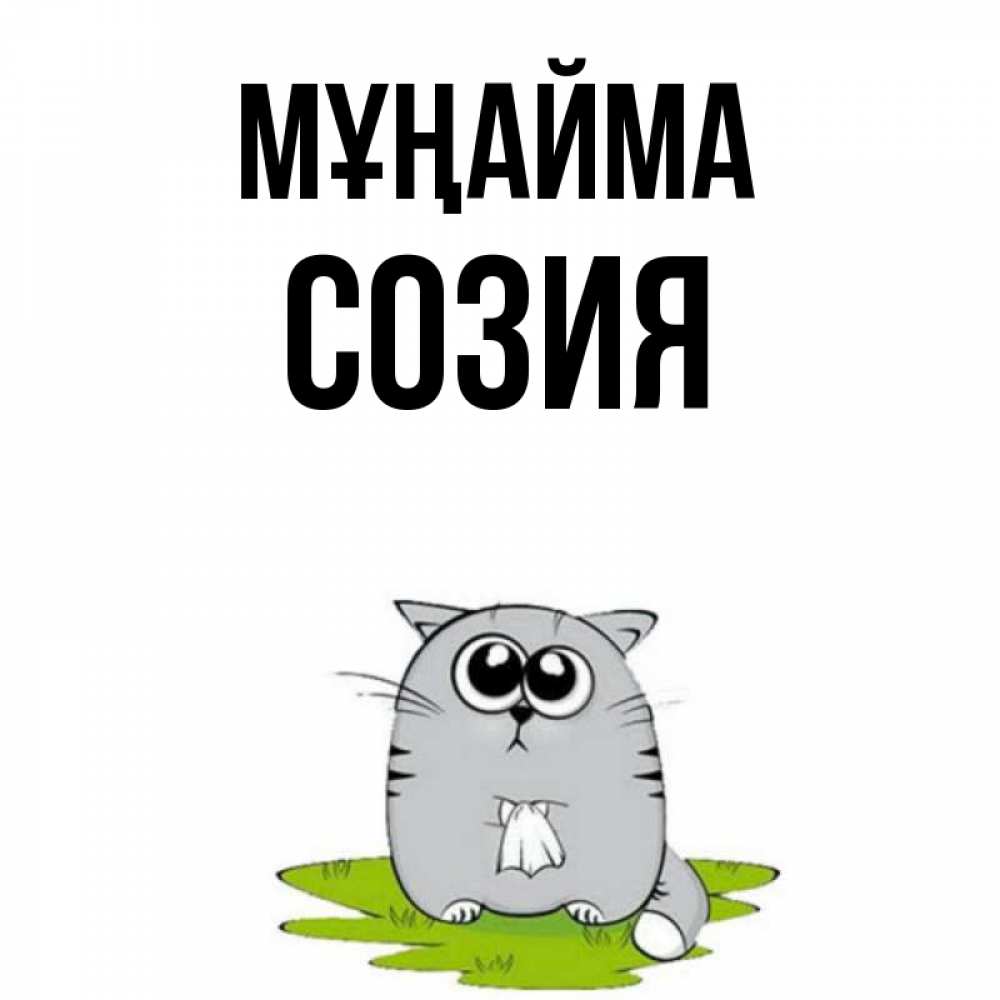 Күн сайын ашық хат с именем, Созия Мұңайма грустный котяра Онлайн тегін жүктеп алу тілектері бар керемет карта 