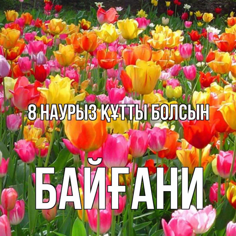 Күн сайын ашық хат с именем, Байғани 8 наурыз құтты болсын на международный женский день Онлайн тегін жүктеп алу тілектері бар керемет карта 
