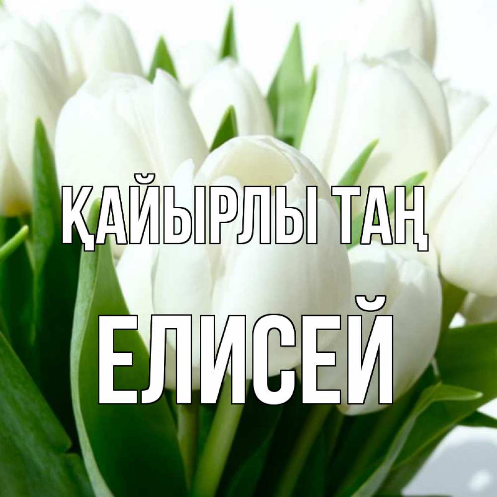 Күн сайын ашық хат с именем, Елисей Қайырлы таң открытки на каждый день по именам Онлайн тегін жүктеп алу тілектері бар керемет карта 