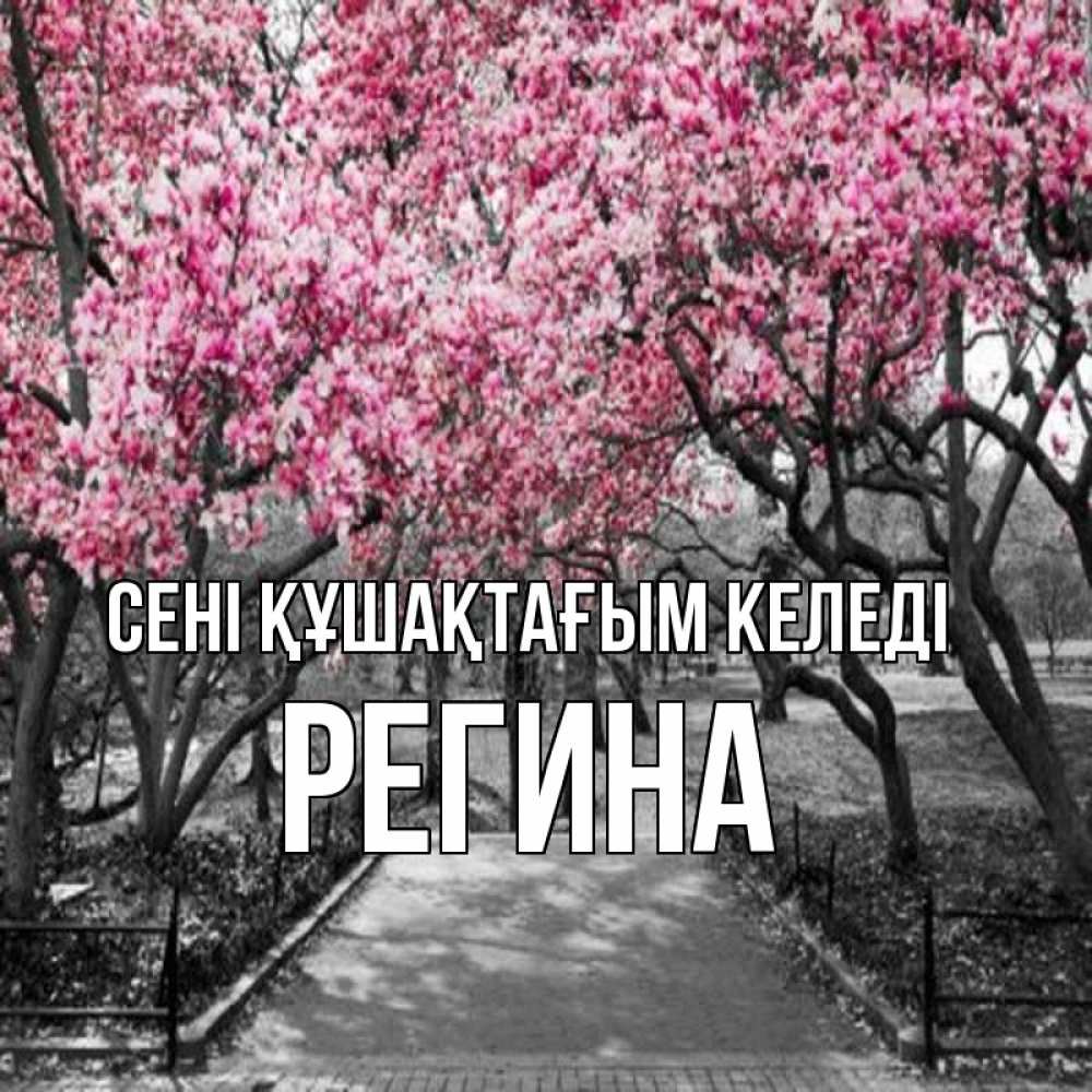 Күн сайын ашық хат с именем, Регина сені құшақтағым келеді обработанное фото Онлайн тегін жүктеп алу тілектері бар керемет карта 