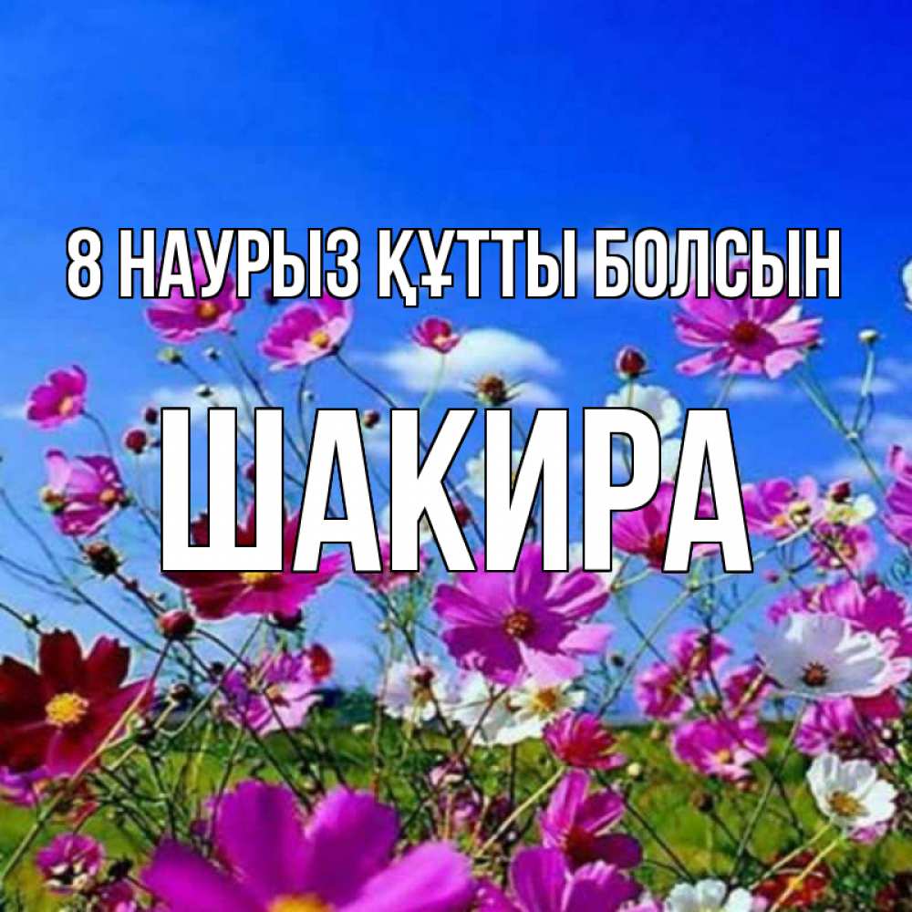 Күн сайын ашық хат с именем, Шакира 8 наурыз құтты болсын цветы Онлайн тегін жүктеп алу тілектері бар керемет карта 