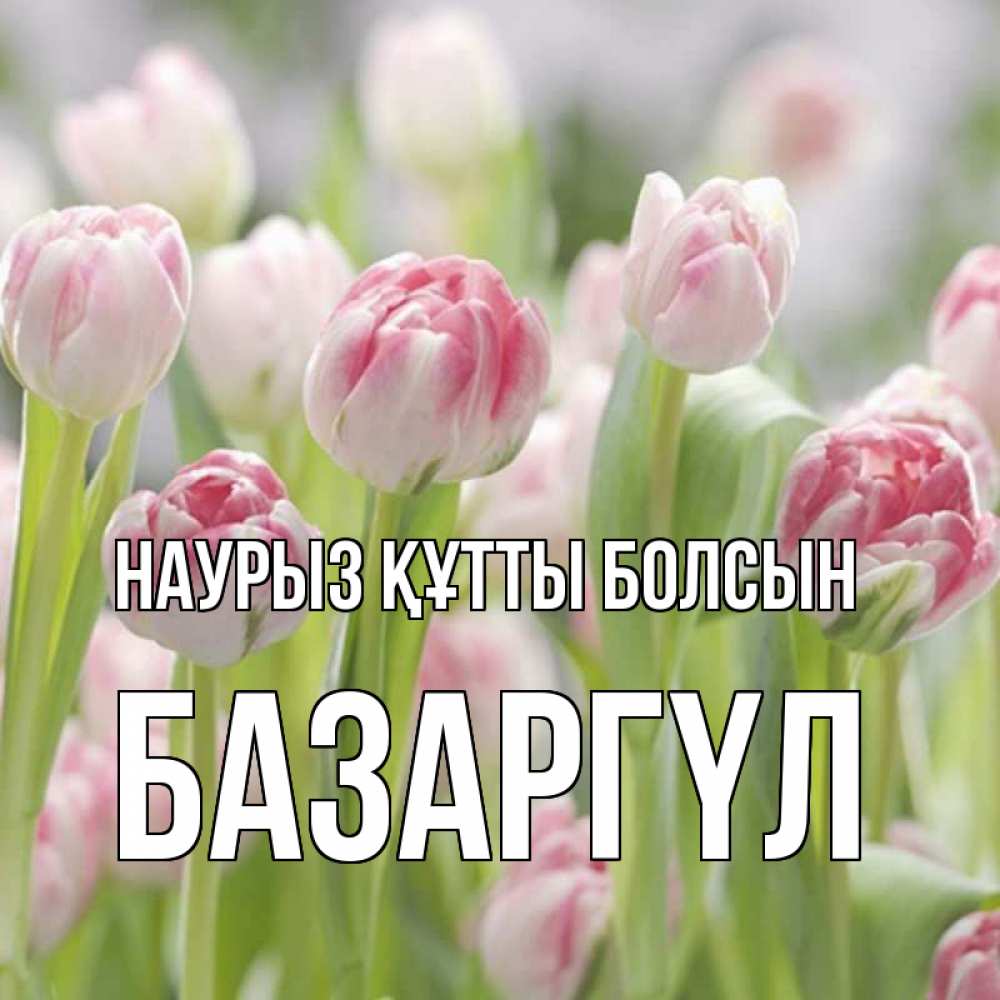 Күн сайын ашық хат с именем, БАЗАРГҮЛ Наурыз құтты болсын цветы Онлайн тегін жүктеп алу тілектері бар керемет карта 