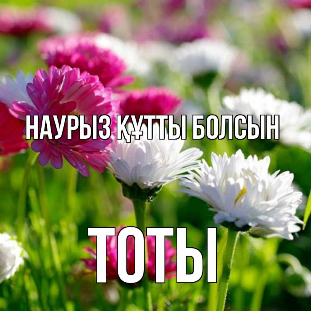 Күн сайын ашық хат с именем, ТОТЫ Наурыз құтты болсын наурыз Онлайн тегін жүктеп алу тілектері бар керемет карта 