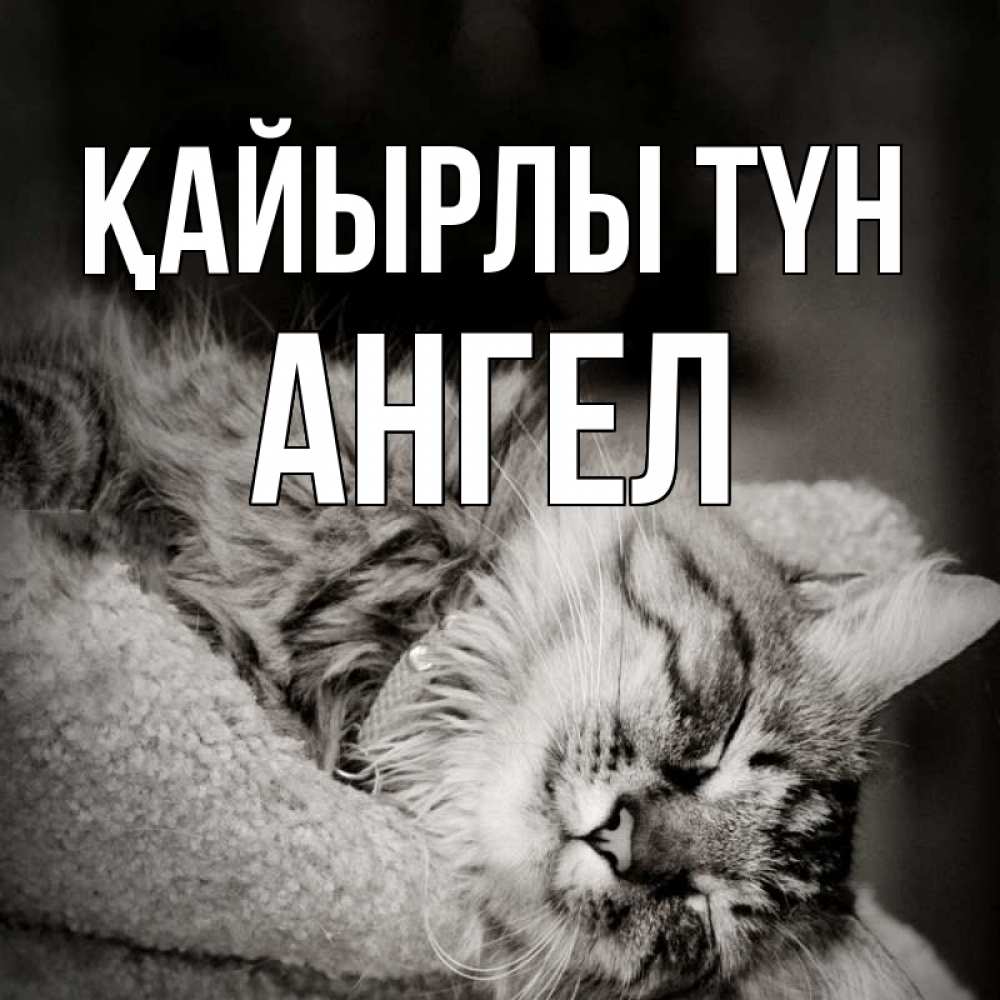 Күн сайын ашық хат с именем, Ангел Қайырлы түн котярик пушистый Онлайн тегін жүктеп алу тілектері бар керемет карта 