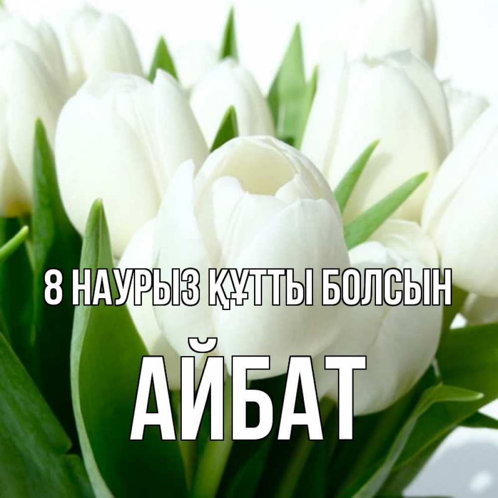 Күн сайын ашық хат с именем, Айбат 8 наурыз құтты болсын цветы Онлайн тегін жүктеп алу тілектері бар керемет карта 