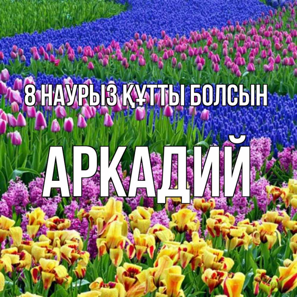 Күн сайын ашық хат с именем, Аркадий 8 наурыз құтты болсын цветы Онлайн тегін жүктеп алу тілектері бар керемет карта 