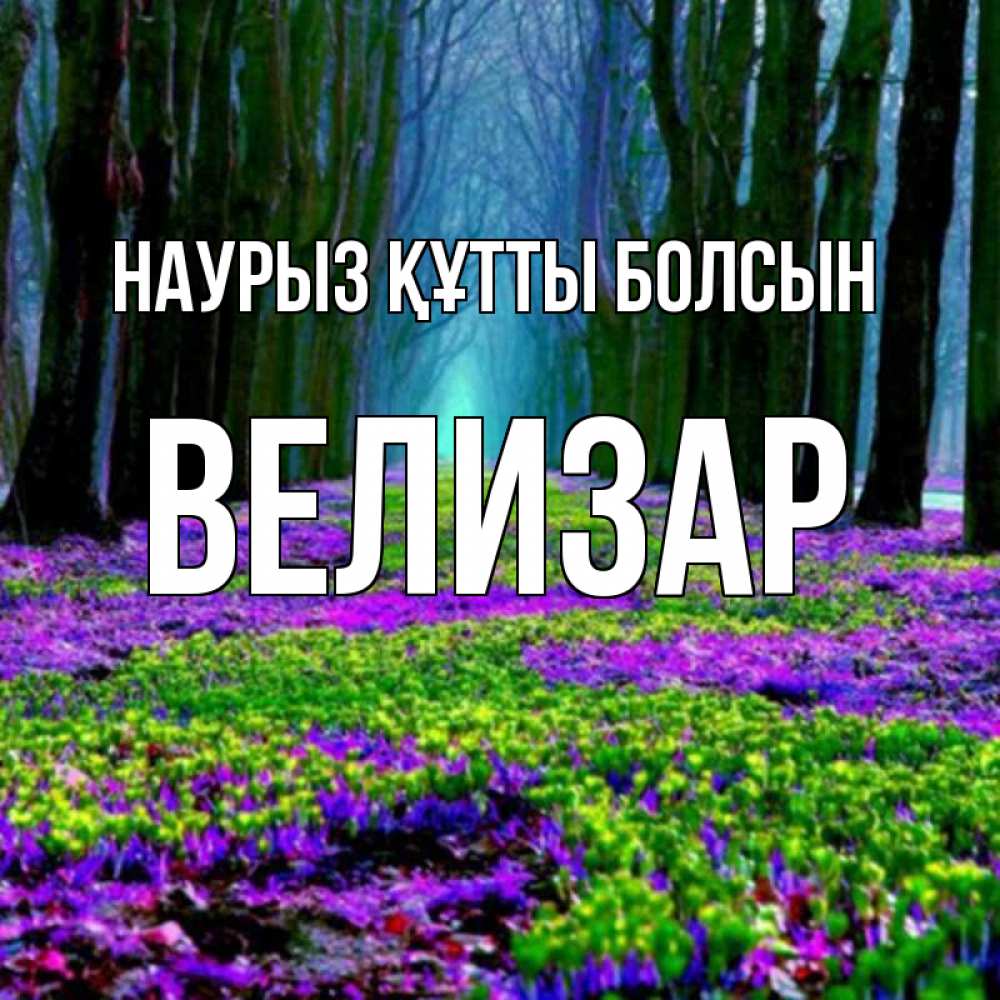 Күн сайын ашық хат с именем, Велизар Наурыз құтты болсын фиолетовые цветы в лесу 1 Онлайн тегін жүктеп алу тілектері бар керемет карта 