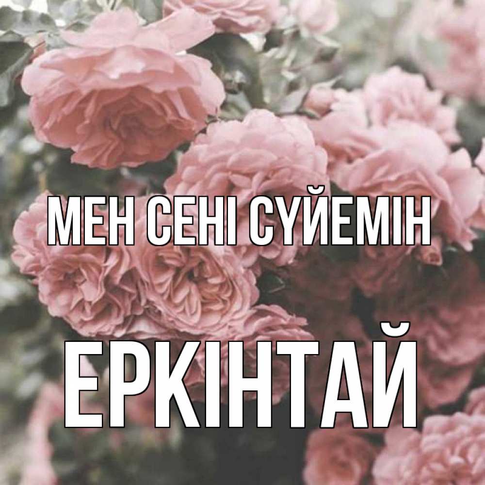 Күн сайын ашық хат с именем, Еркінтай Мен сені сүйемін розы 3 Онлайн тегін жүктеп алу тілектері бар керемет карта 