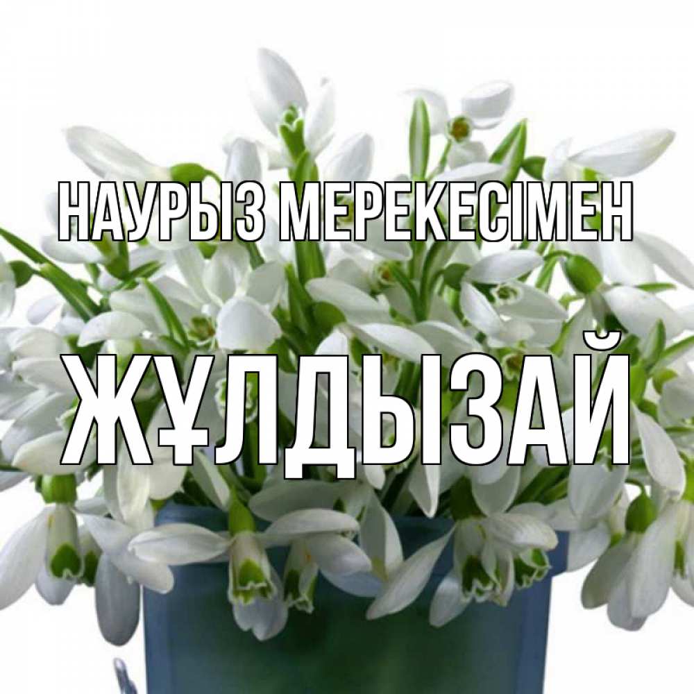 Күн сайын ашық хат с именем, ЖҰЛДЫЗАЙ Наурыз мерекесімен цветы к наурызу новый год в Казахстане Онлайн тегін жүктеп алу тілектері бар керемет карта 