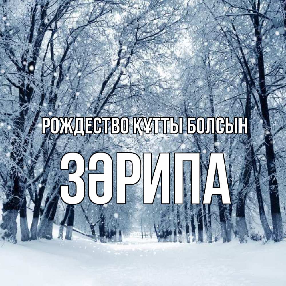 Күн сайын ашық хат с именем, ЗӘРИПА Рождество құтты болсын снег, лес, парк Онлайн тегін жүктеп алу тілектері бар керемет карта 