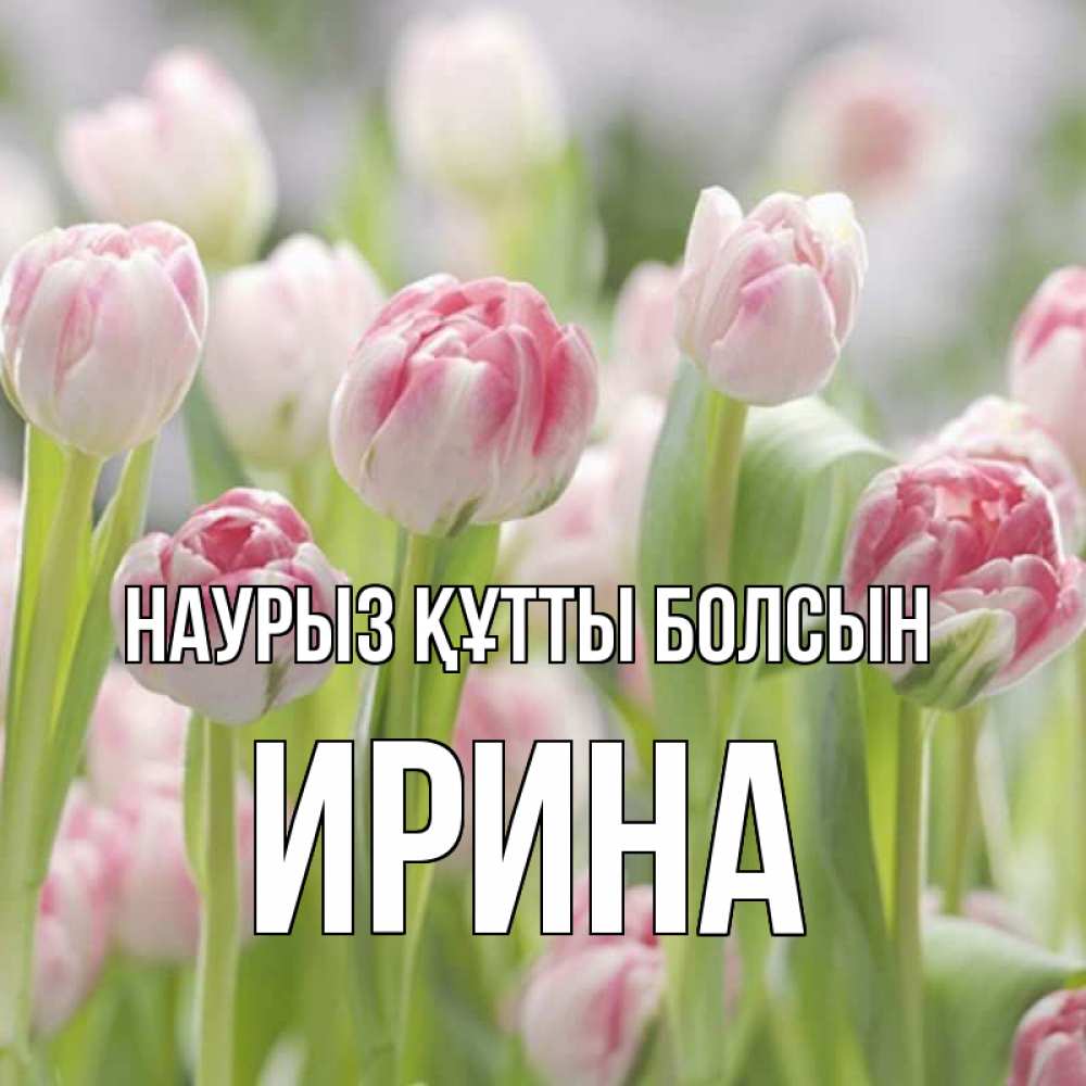 Күн сайын ашық хат с именем, Ирина Наурыз құтты болсын цветы Онлайн тегін жүктеп алу тілектері бар керемет карта 