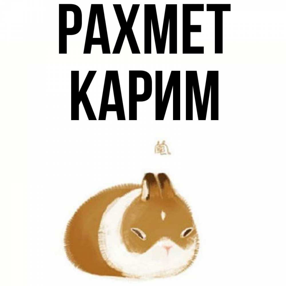Күн сайын ашық хат с именем, Карим рахмет коричнево белый домашний питомец Онлайн тегін жүктеп алу тілектері бар керемет карта 