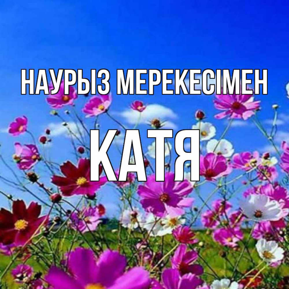Күн сайын ашық хат с именем, Катя Наурыз мерекесімен цветы Онлайн тегін жүктеп алу тілектері бар керемет карта 