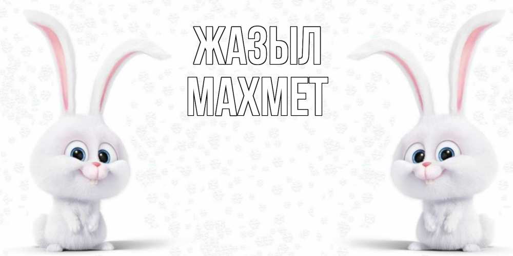 Күн сайын ашық хат с именем, МАХМЕТ Жазыл не болей с зайцем Онлайн тегін жүктеп алу тілектері бар керемет карта 