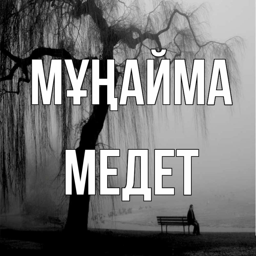 Күн сайын ашық хат с именем, МЕДЕТ Мұңайма висящие ветки дерева и лавочка под деревом Онлайн тегін жүктеп алу тілектері бар керемет карта 