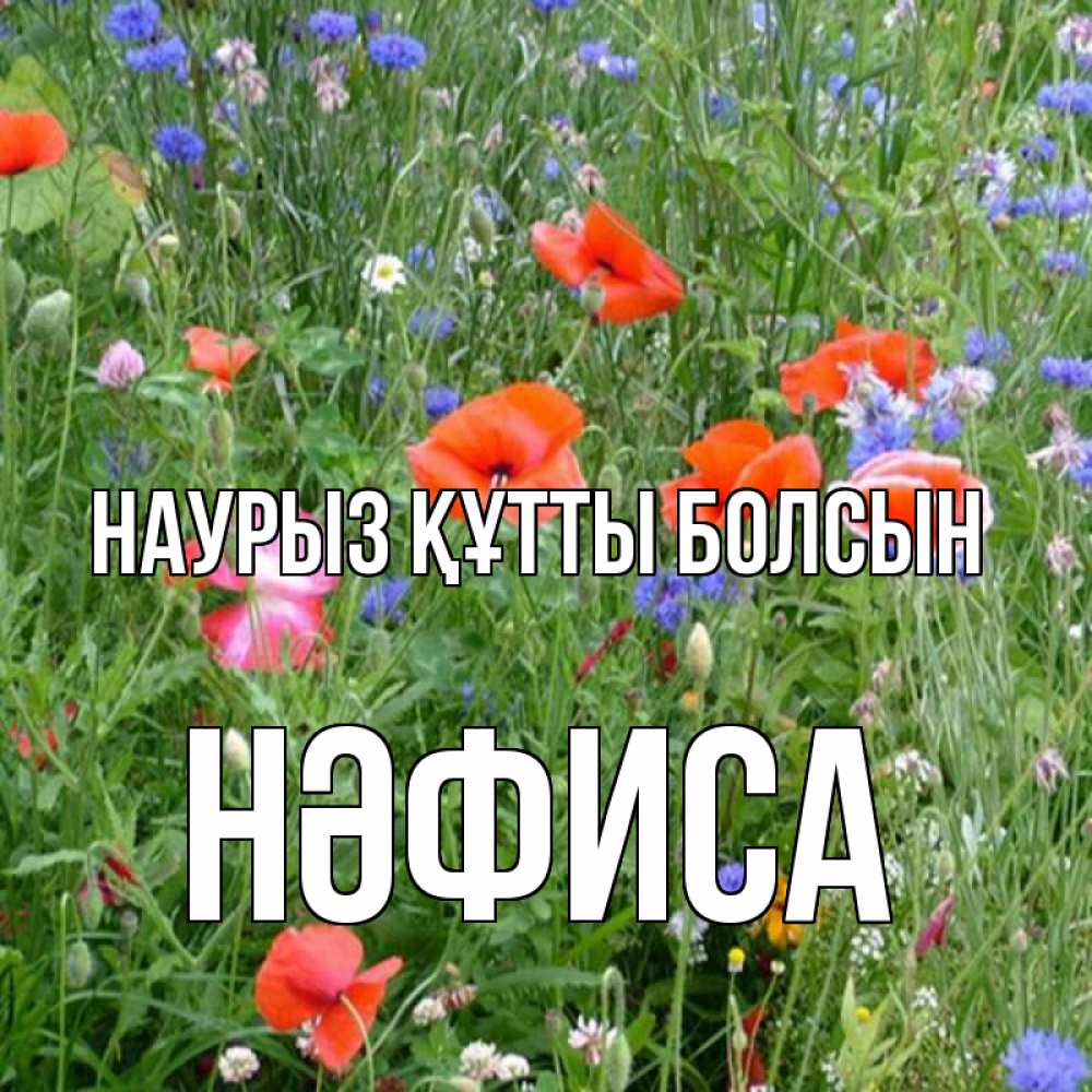 Күн сайын ашық хат с именем, НӘФИСА Наурыз құтты болсын наурыз  4 Онлайн тегін жүктеп алу тілектері бар керемет карта 