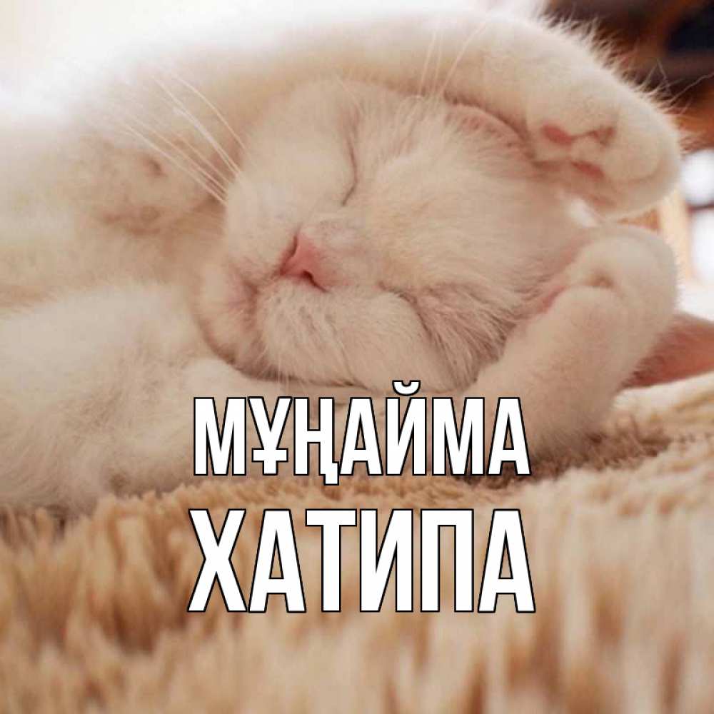 Күн сайын ашық хат с именем, ХАТИПА Мұңайма белый кот Онлайн тегін жүктеп алу тілектері бар керемет карта 