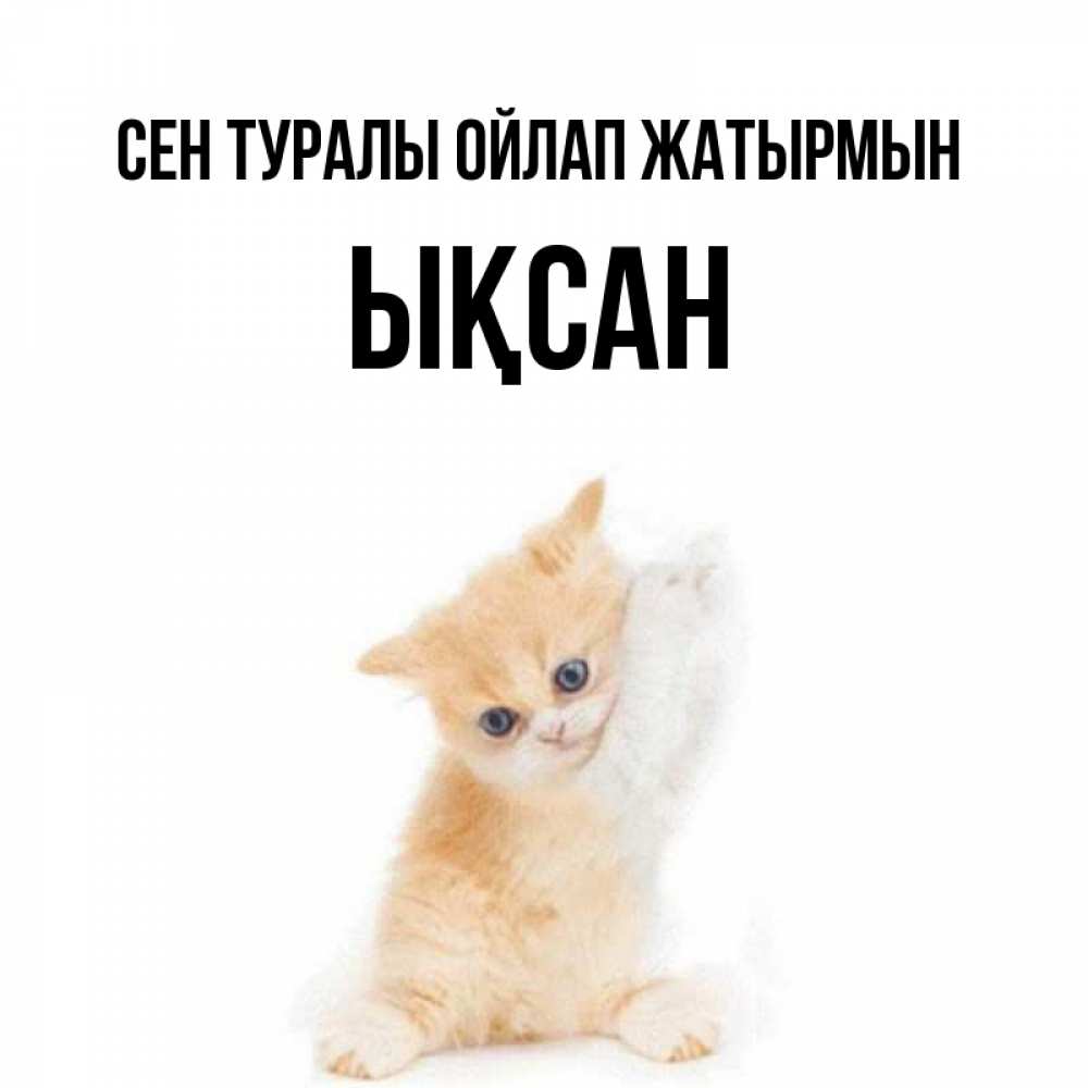 Күн сайын ашық хат с именем, ЫҚСАН Сен туралы ойлап жатырмын зверушки и милота Онлайн тегін жүктеп алу тілектері бар керемет карта 
