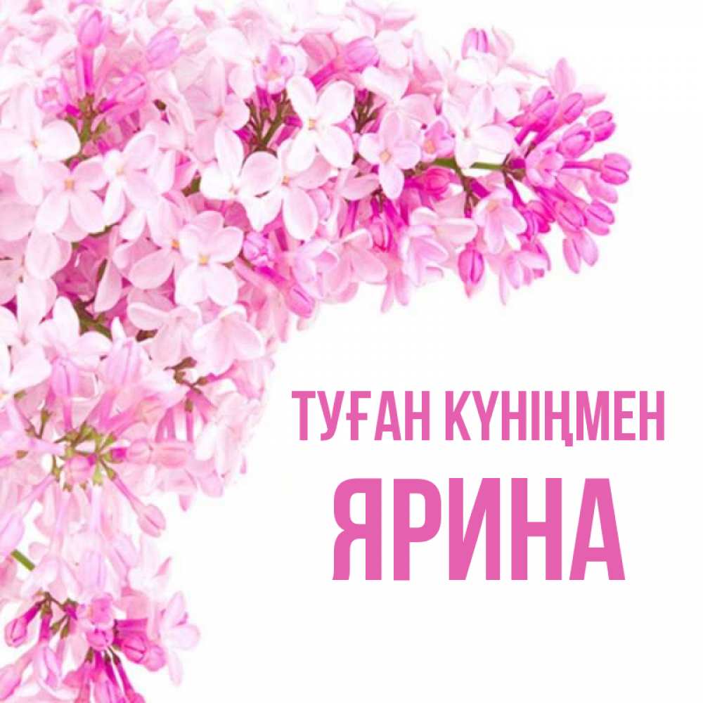 Күн сайын ашық хат с именем, Ярина Туған күніңмен Сирень на белом фоне Онлайн тегін жүктеп алу тілектері бар керемет карта 