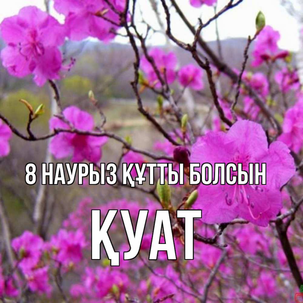 Күн сайын ашық хат с именем, ҚУАТ 8 наурыз құтты болсын международный женский день Онлайн тегін жүктеп алу тілектері бар керемет карта 