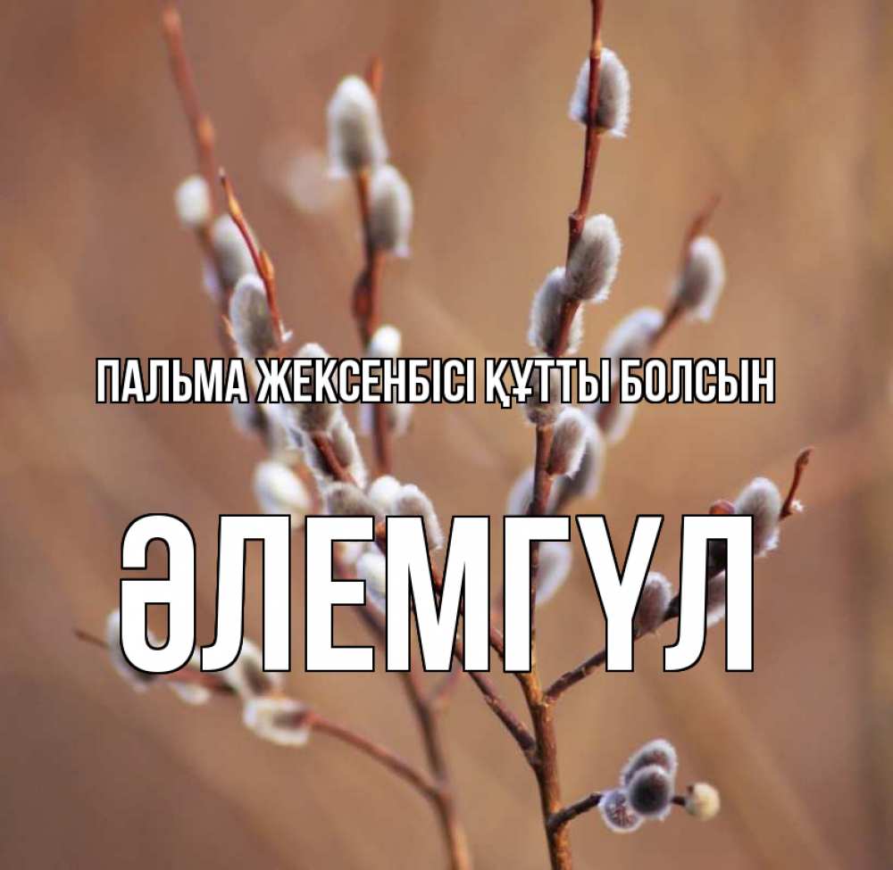 Күн сайын ашық хат с именем, ӘЛЕМГҮЛ Пальма жексенбісі құтты болсын верба Онлайн тегін жүктеп алу тілектері бар керемет карта 