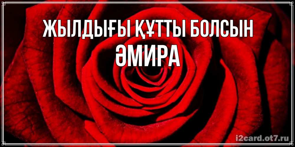 Күн сайын ашық хат с именем, ӘМИРА Жылдығы құтты болсын алая роза Онлайн тегін жүктеп алу тілектері бар керемет карта 
